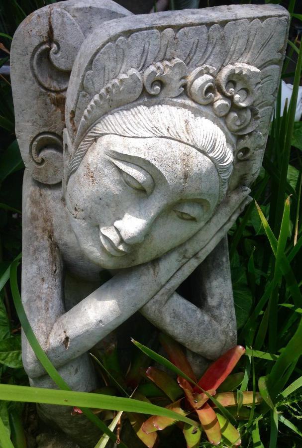 Butterfly Studio Proserpine Exterior foto